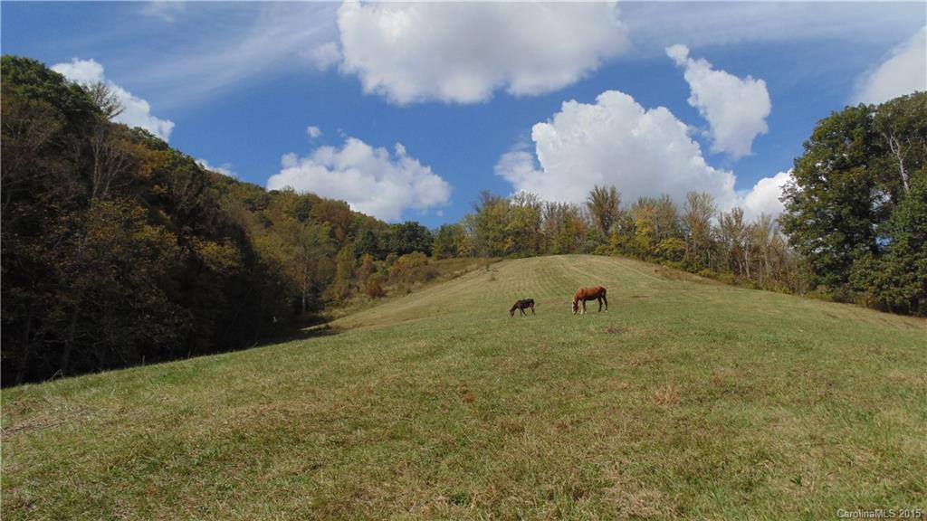 1000+ Jarvis Branch Road Mars Hill NC 28754