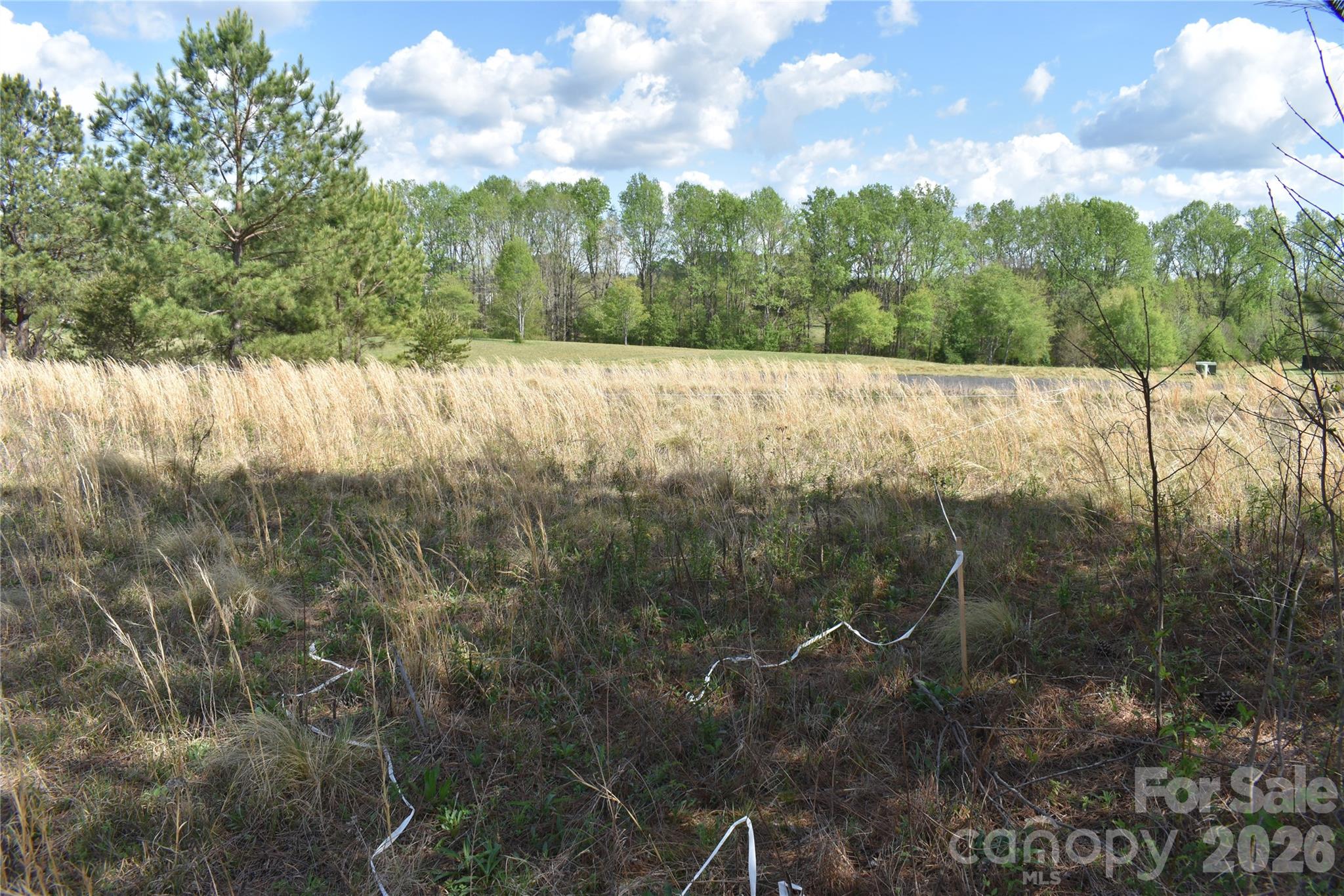 00 Malden Court Crouse NC 28033