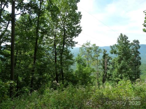 999 Skyuka Mountain Road Columbus NC 28722