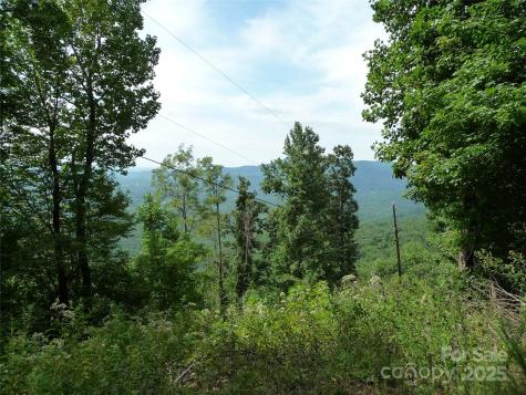999 Skyuka Mountain Road Columbus NC 28722