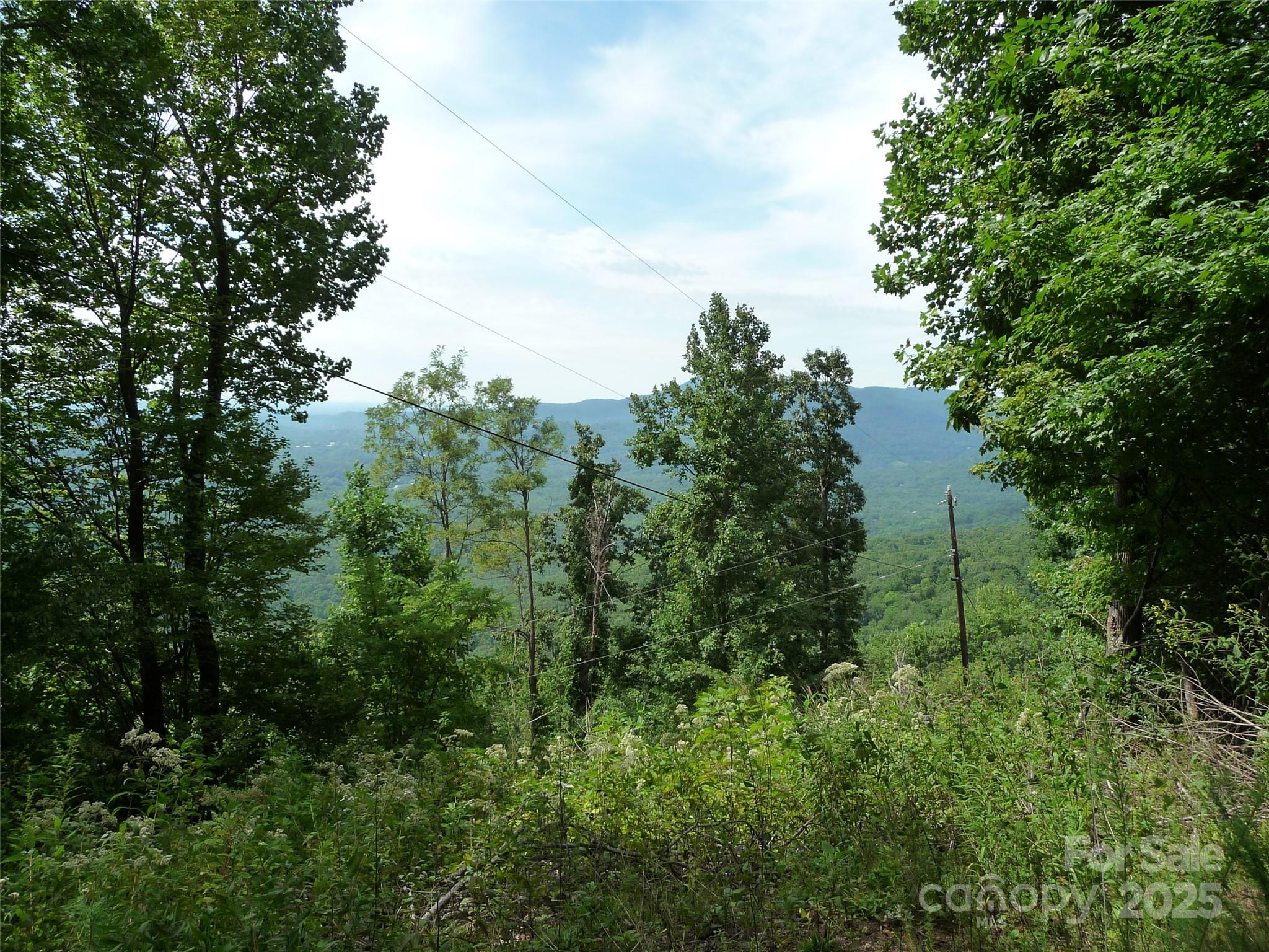 999 Skyuka Mountain Road Columbus NC 28722