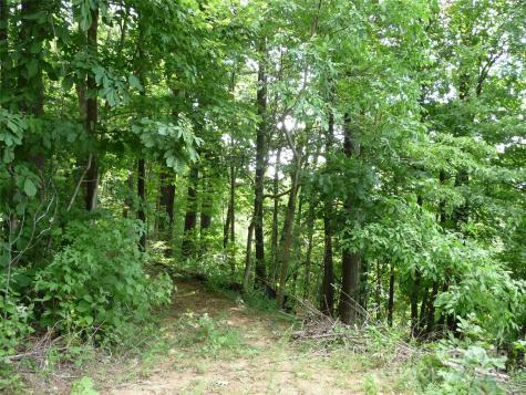 999 Skyuka Mountain Road Columbus NC 28722