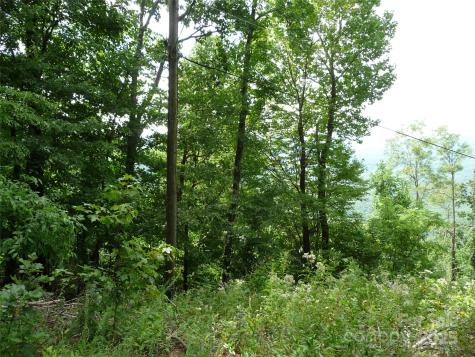 999 Skyuka Mountain Road Columbus NC 28722