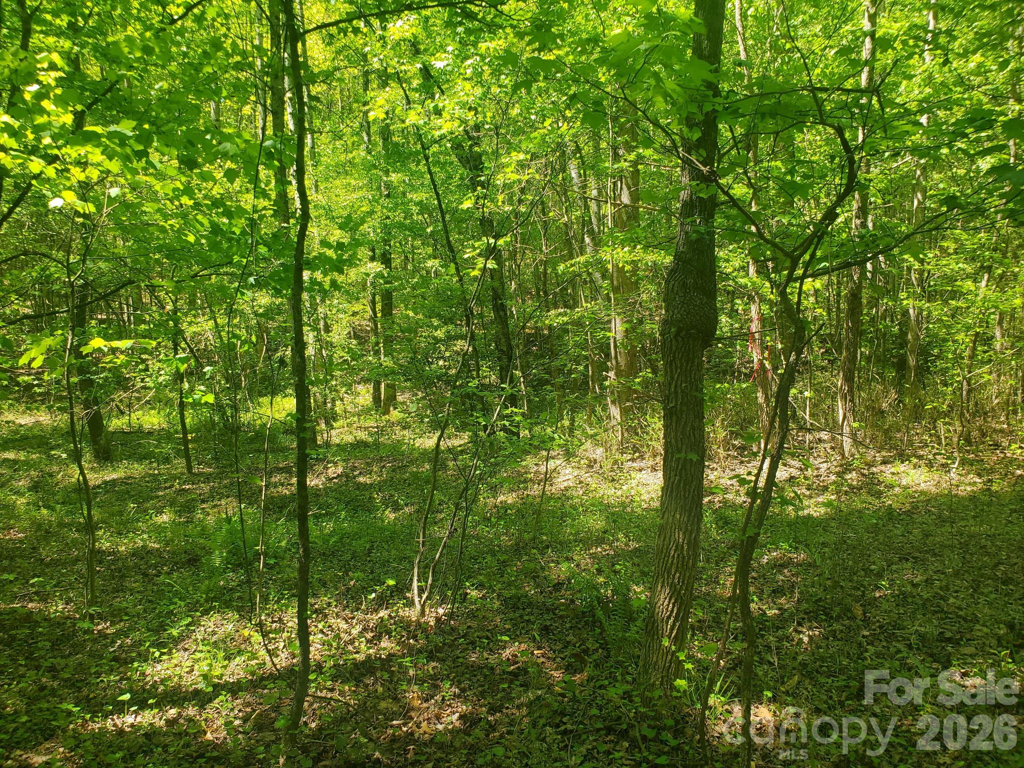 3727 Mount Beulah Road Sherrills Ford NC 28673