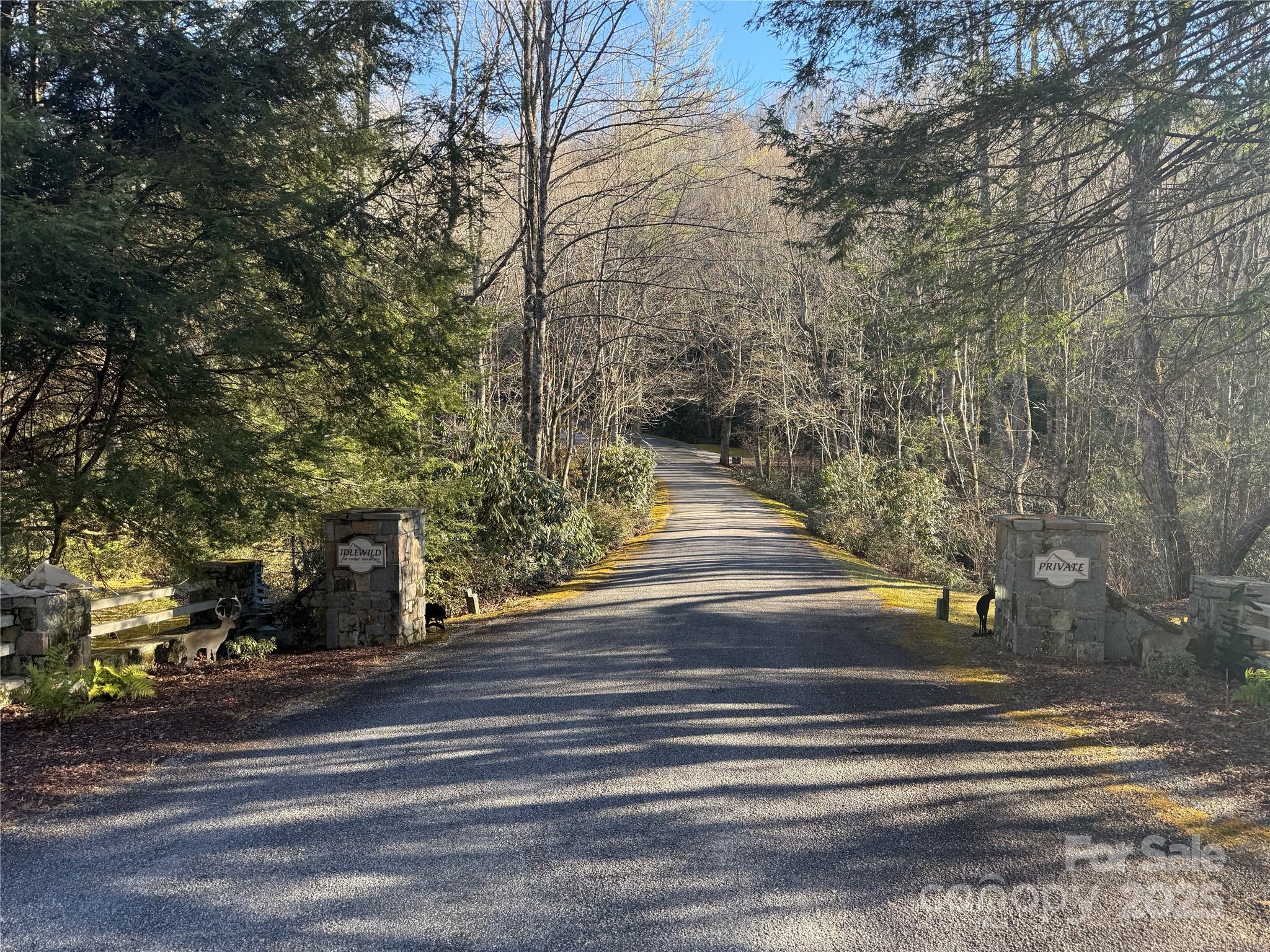 V/l Spanish Oak Drive Cedar Mountain NC 28718