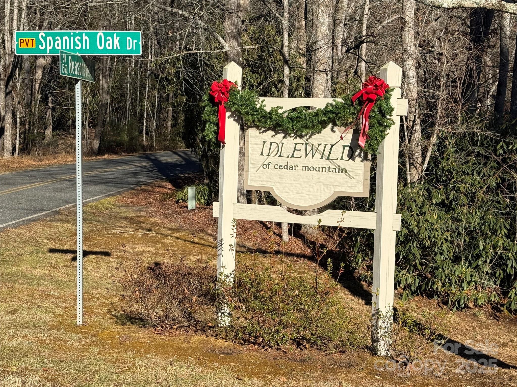 V/l Spanish Oak Drive Cedar Mountain NC 28718