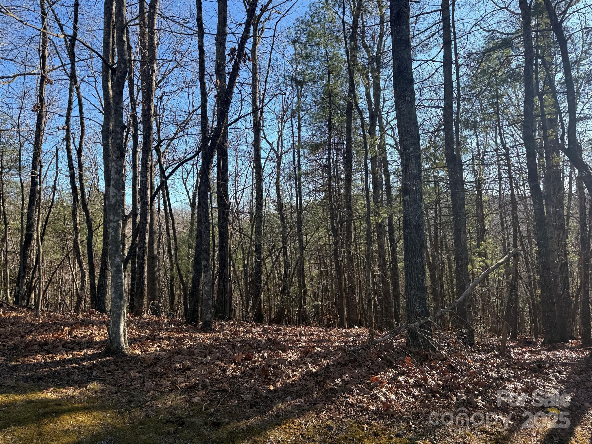 V/l Spanish Oak Drive Cedar Mountain NC 28718