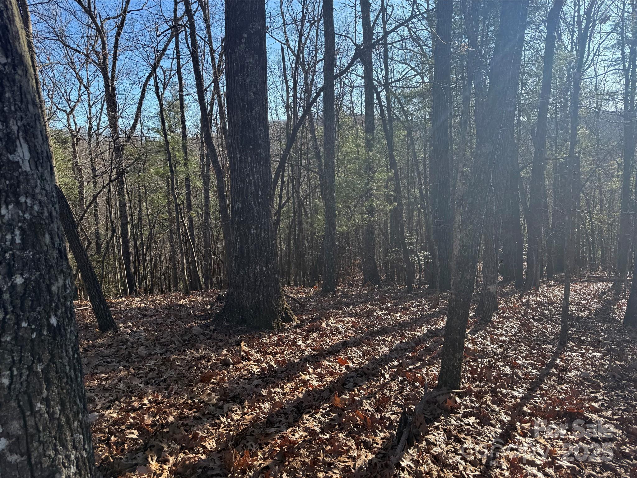 V/l Spanish Oak Drive Cedar Mountain NC 28718