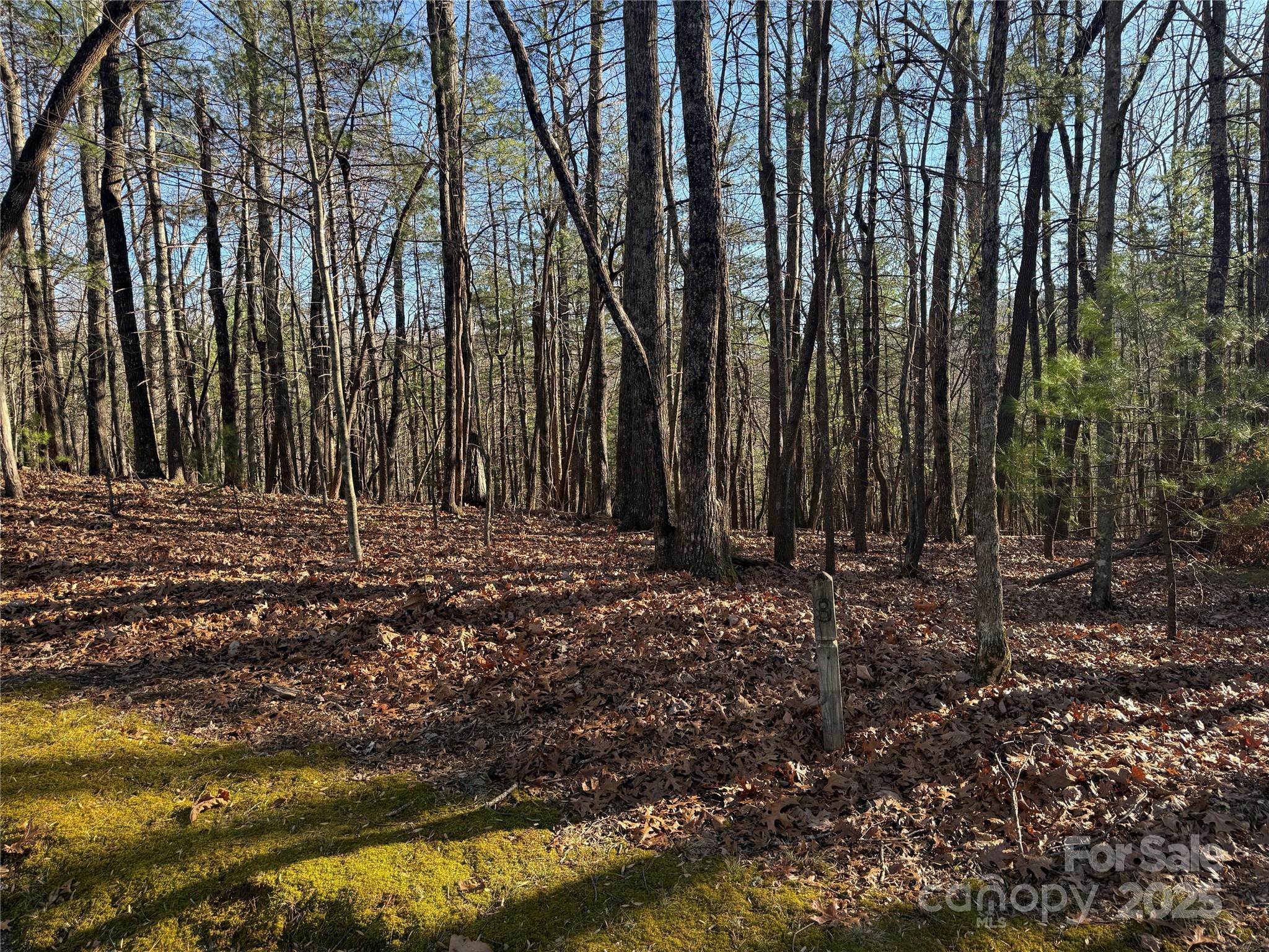 V/l Spanish Oak Drive Cedar Mountain NC 28718