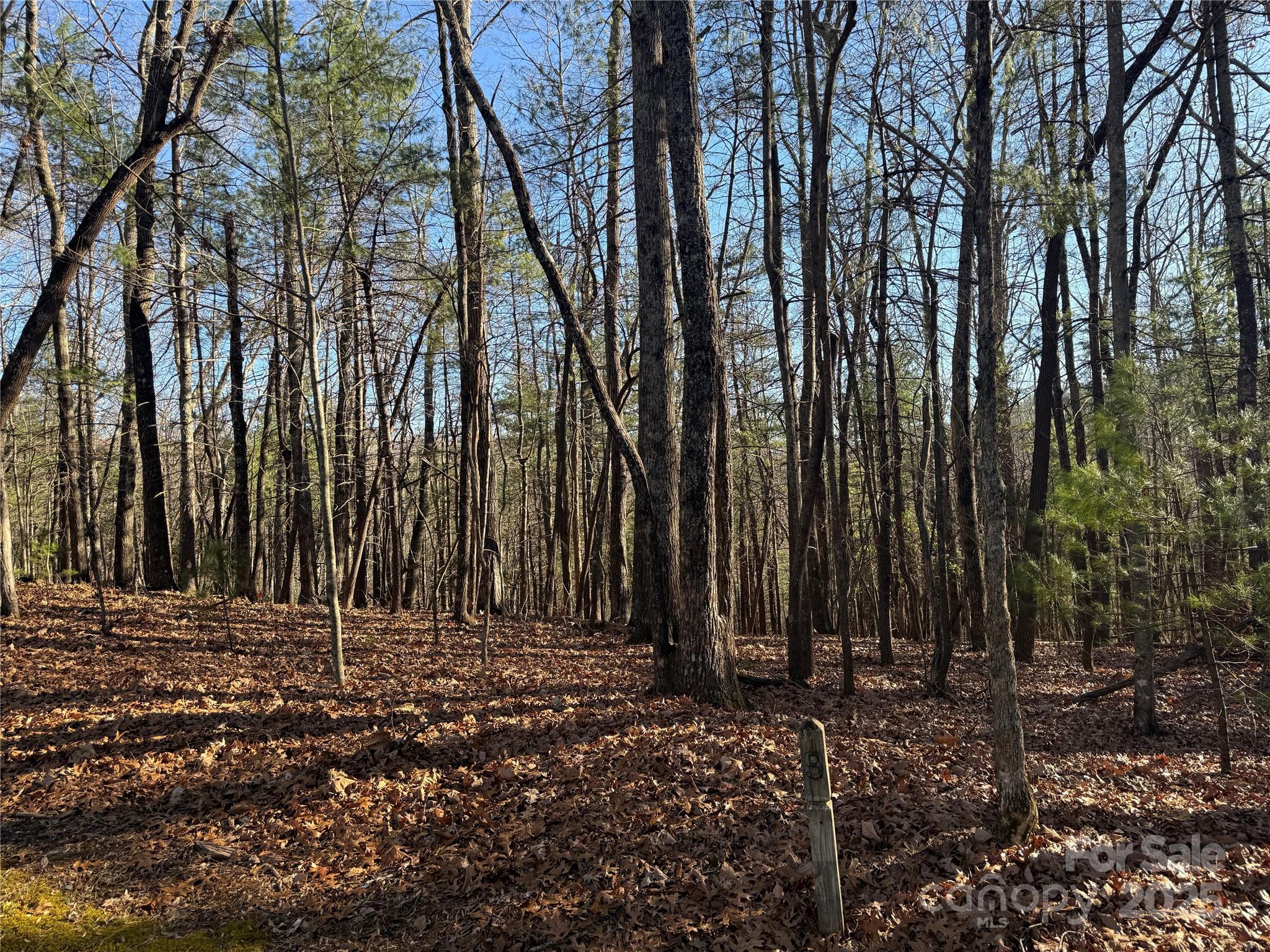 V/l Spanish Oak Drive Cedar Mountain NC 28718