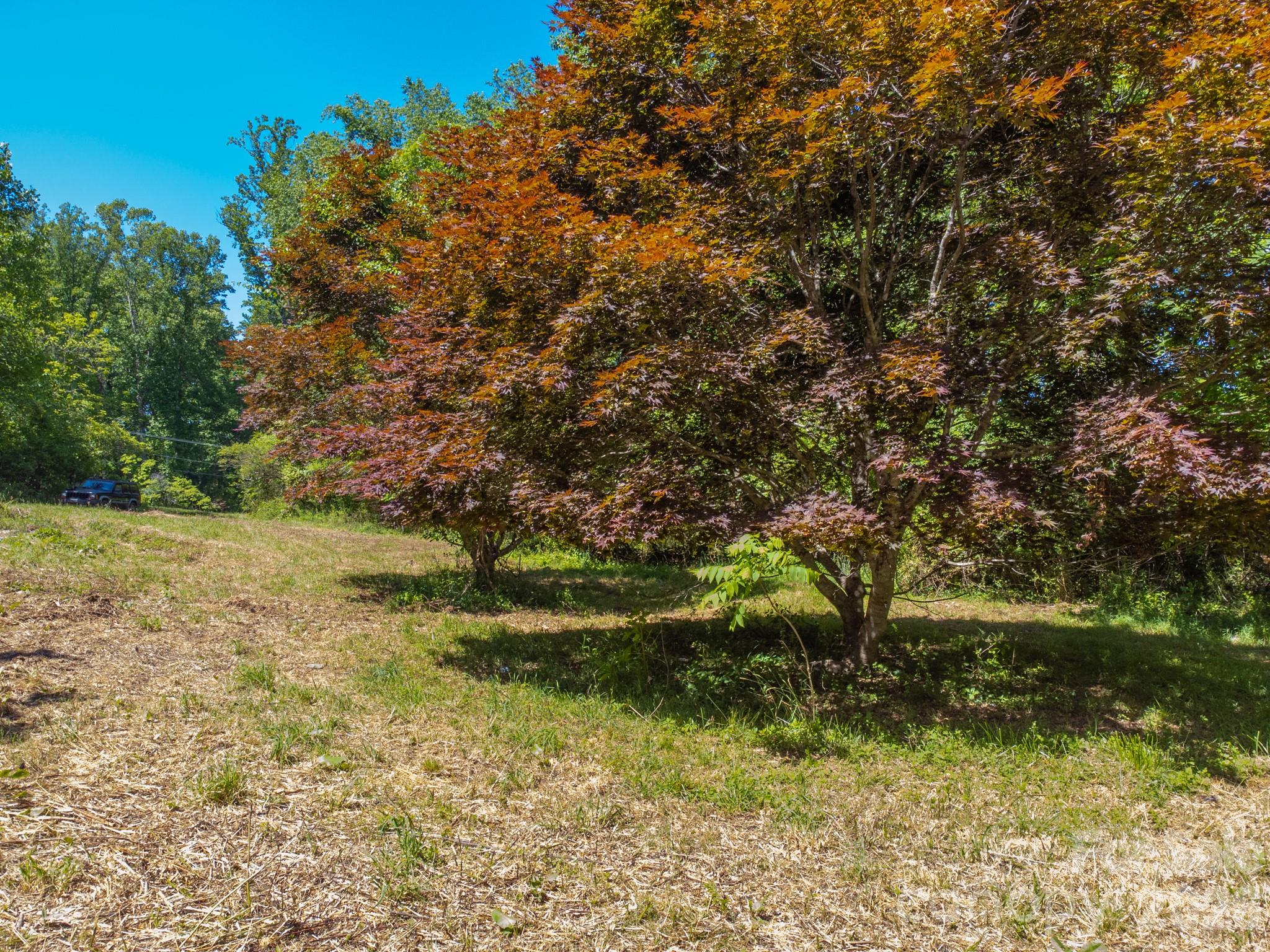 27 Shep Drive Mills River NC 29759