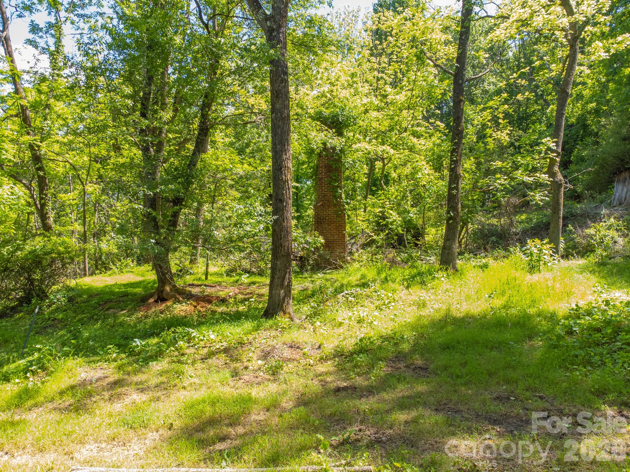 27 Shep Drive Mills River NC 29759