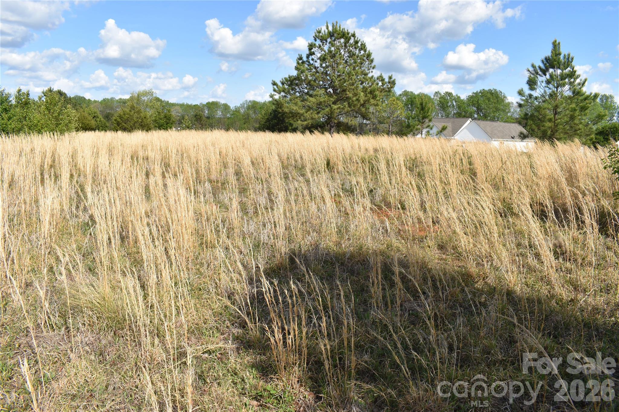 57 Malden Court Crouse NC 28033