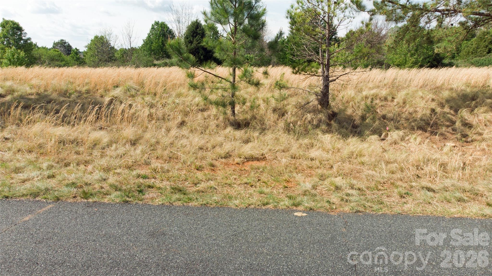 57 Malden Court Crouse NC 28033