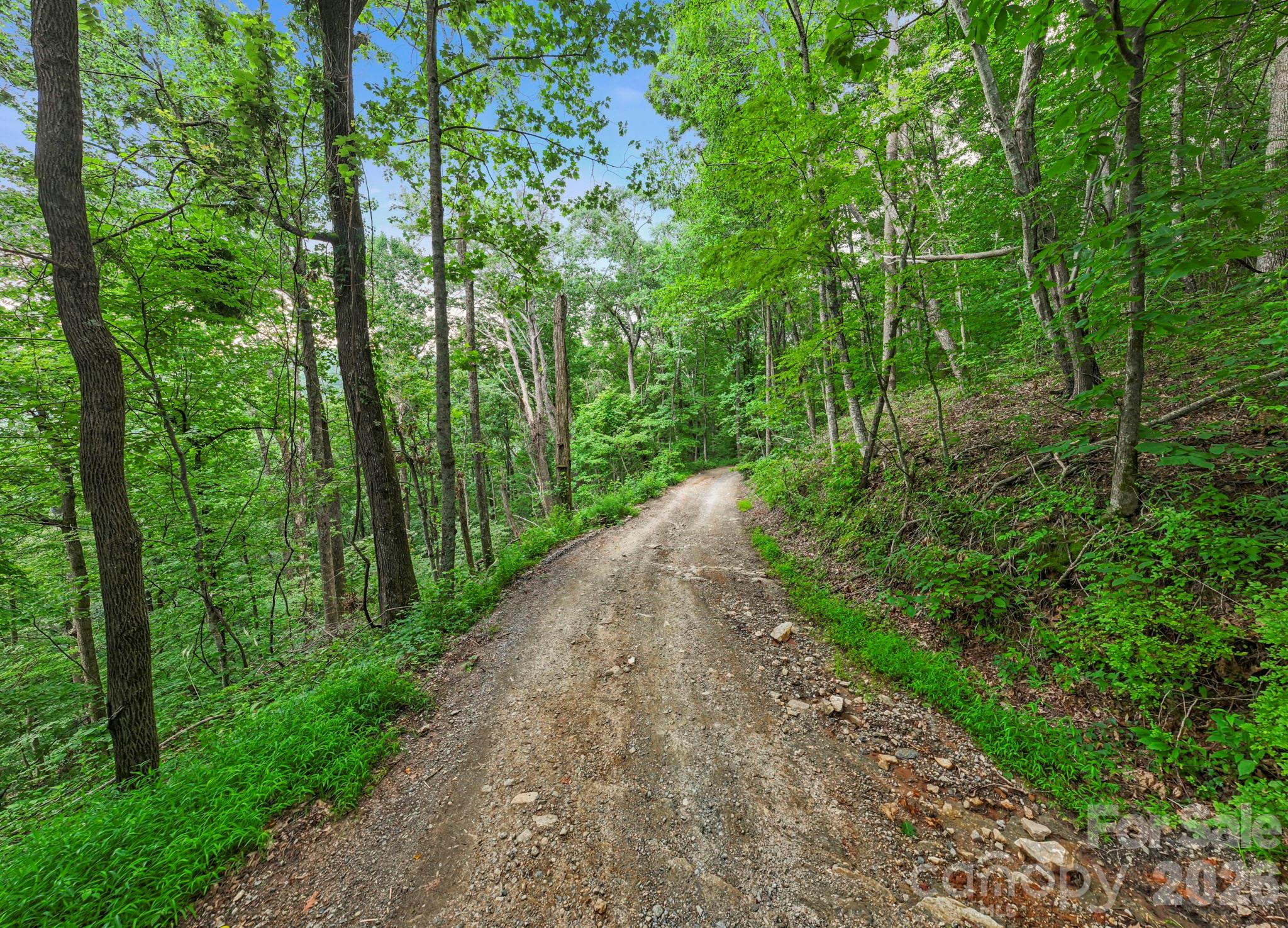 99999 Little Pisgah Road Gerton NC 28735
