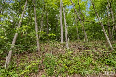 99999 Little Pisgah Road Gerton NC 28735