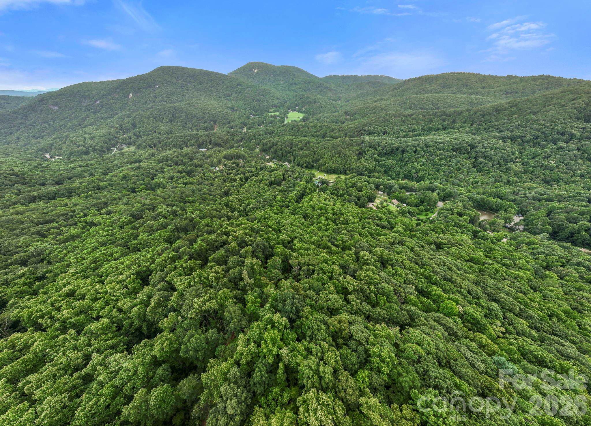 99999 Little Pisgah Road Gerton NC 28735