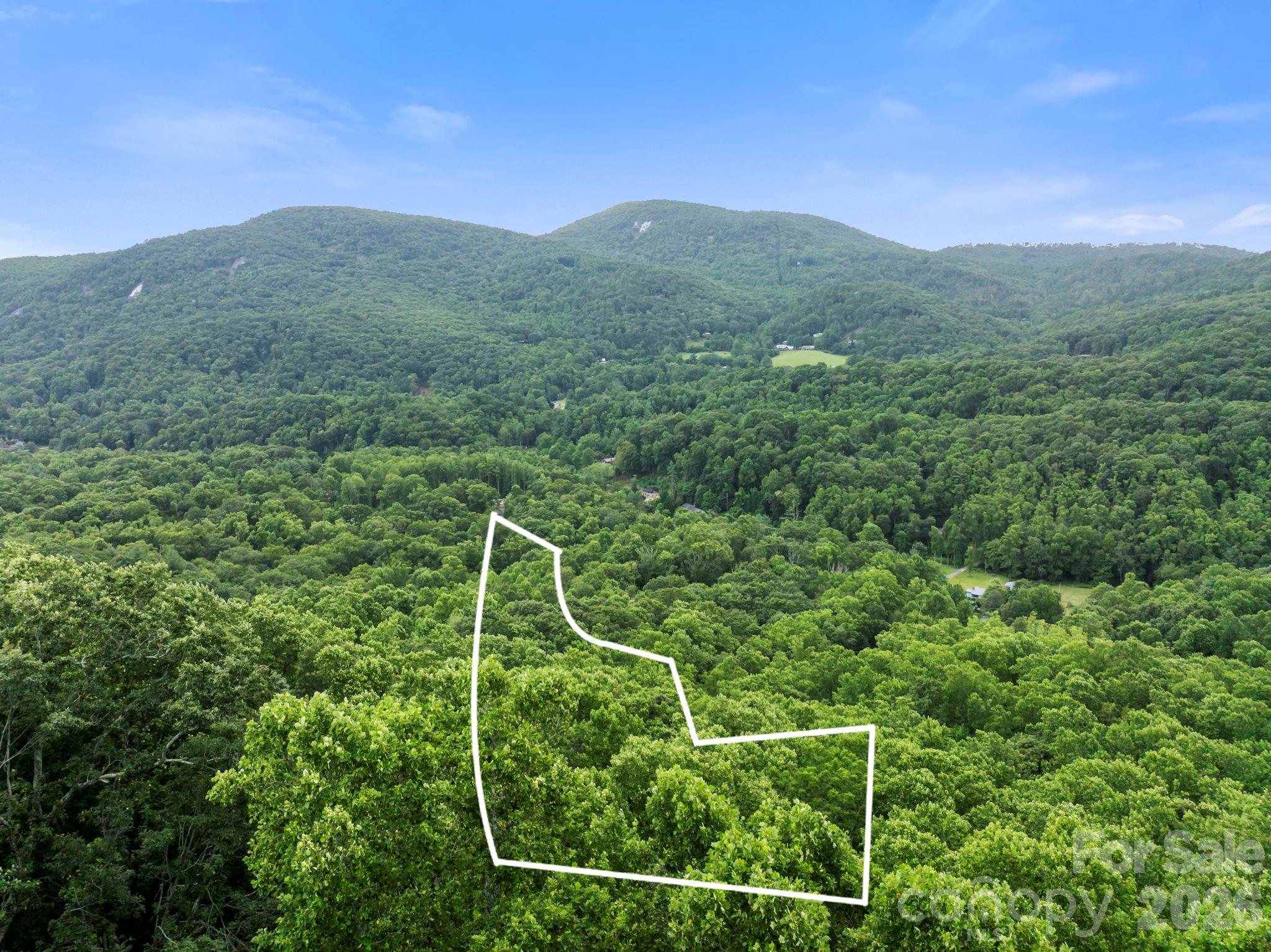 99999 Little Pisgah Road Gerton NC 28735