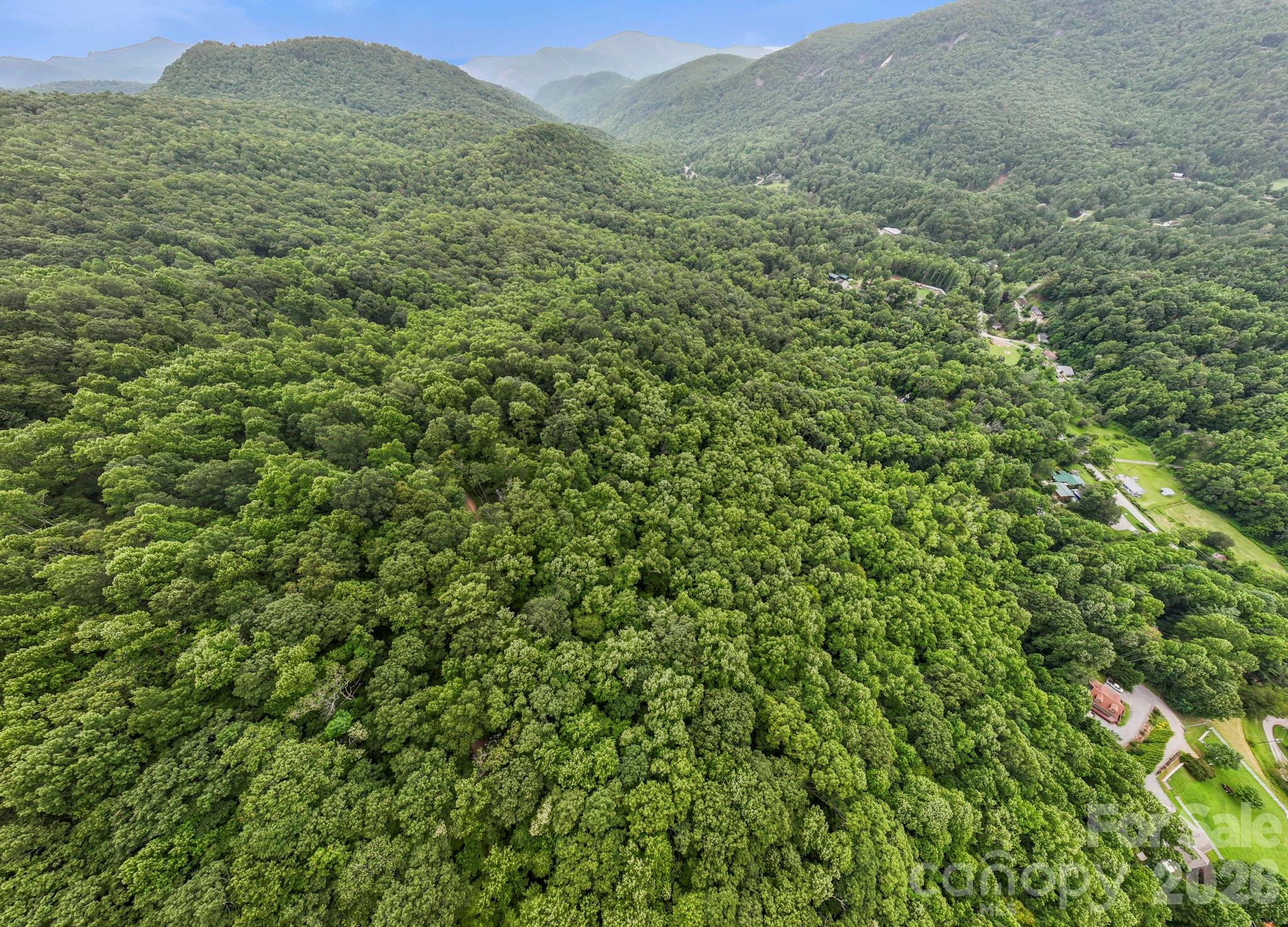 99999 Little Pisgah Road Gerton NC 28735