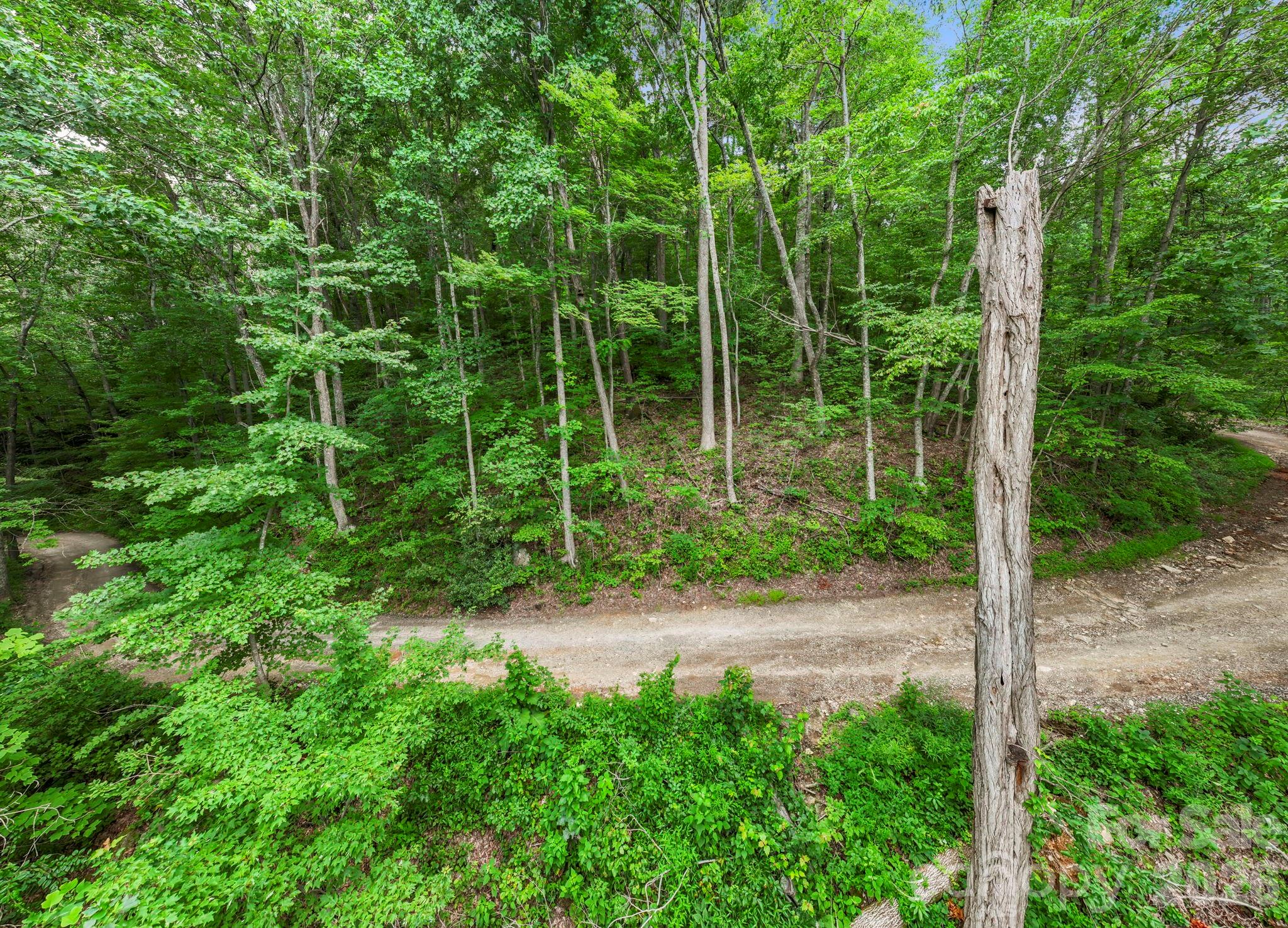 99999 Little Pisgah Road Gerton NC 28735