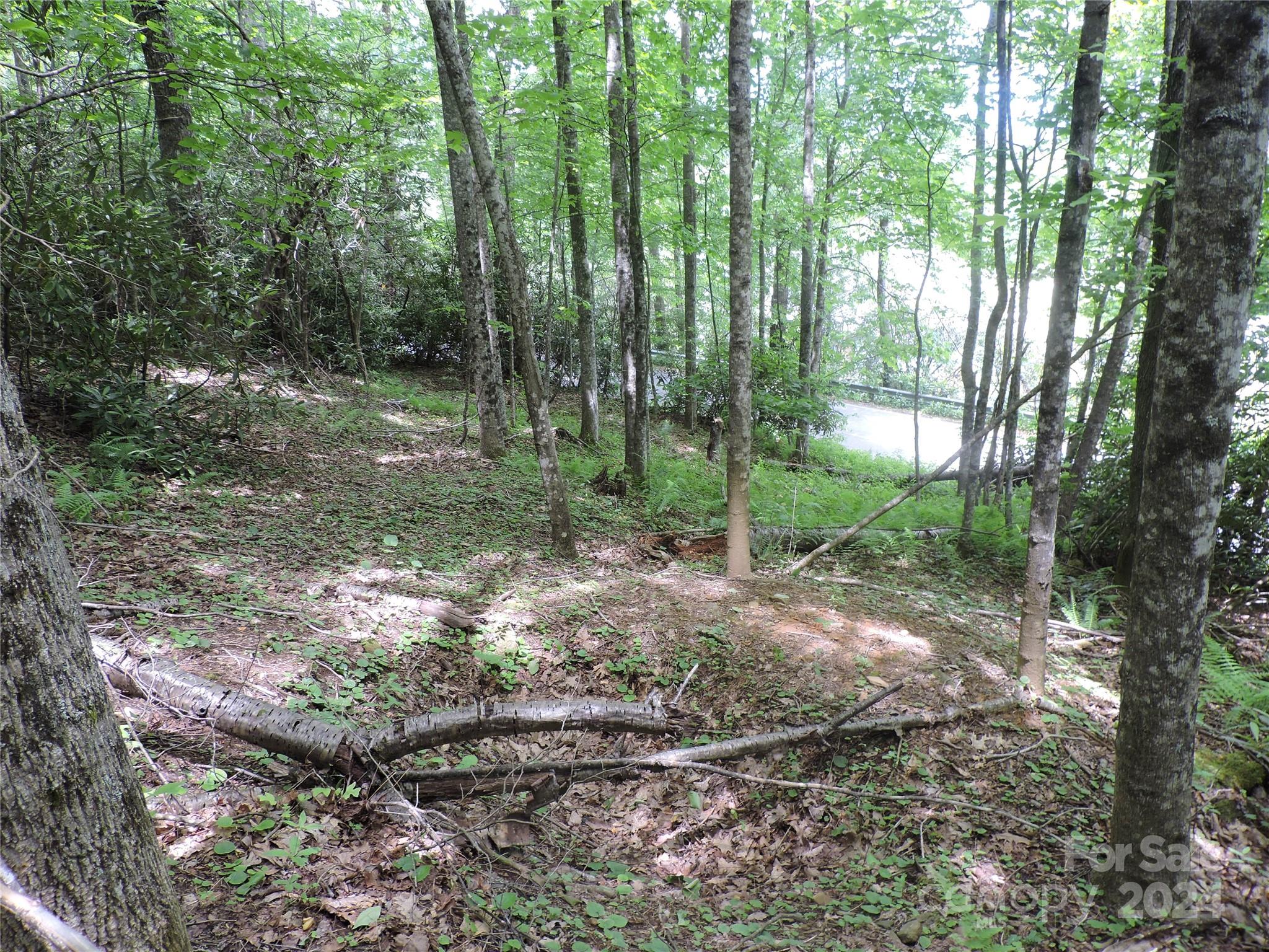 00 South Toe River Road Burnsville NC 28714
