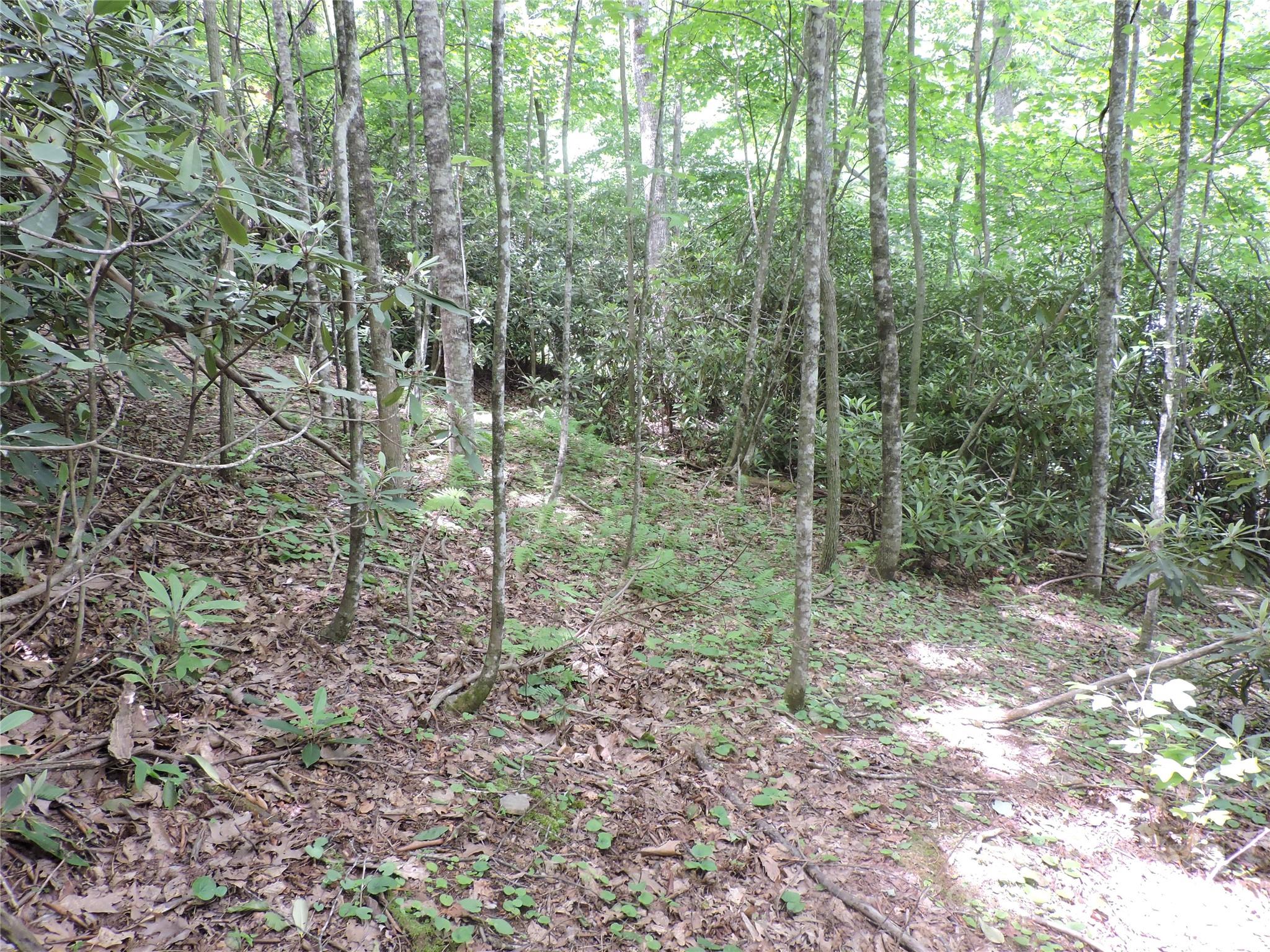 00 South Toe River Road Burnsville NC 28714