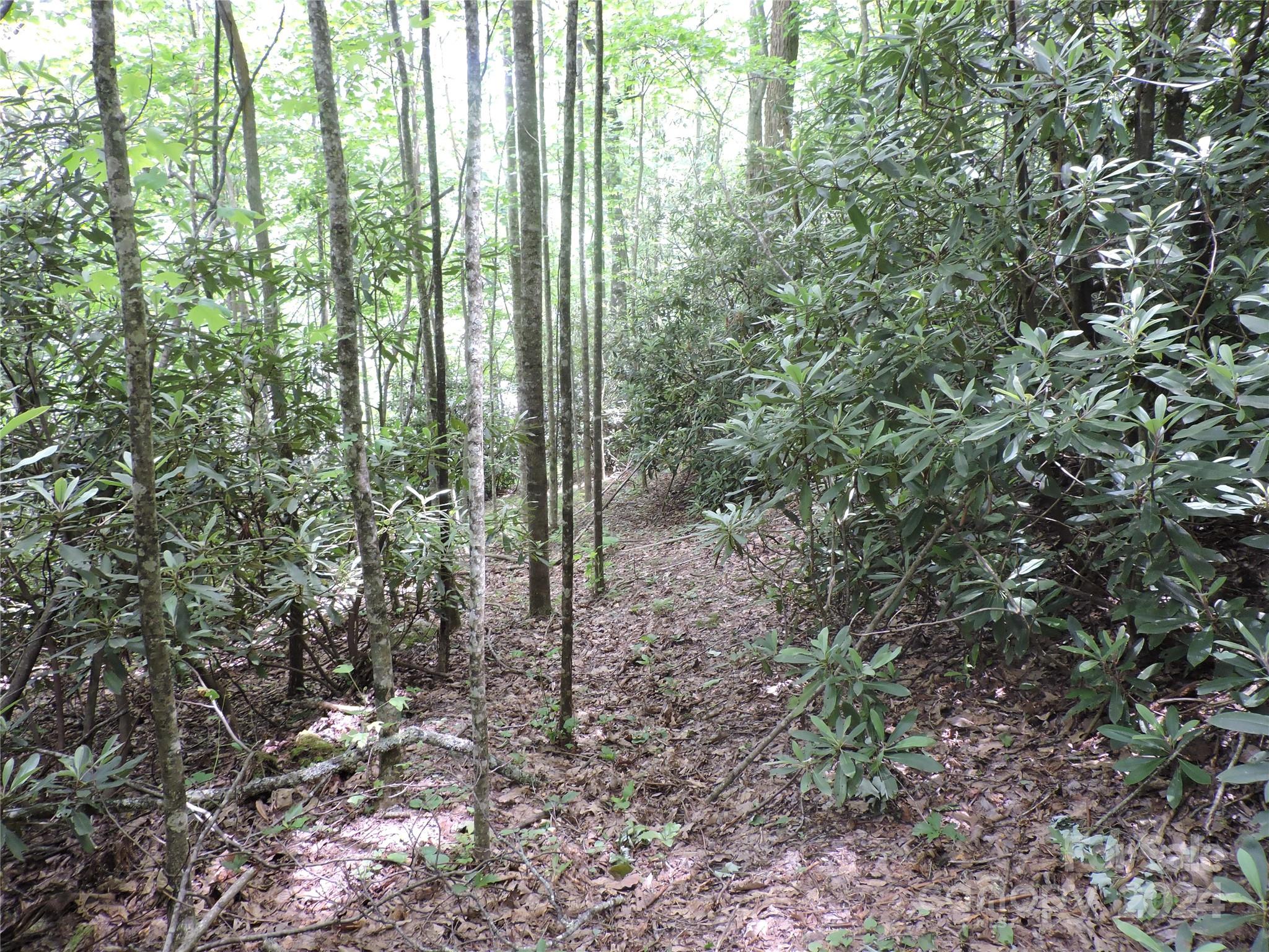 00 South Toe River Road Burnsville NC 28714