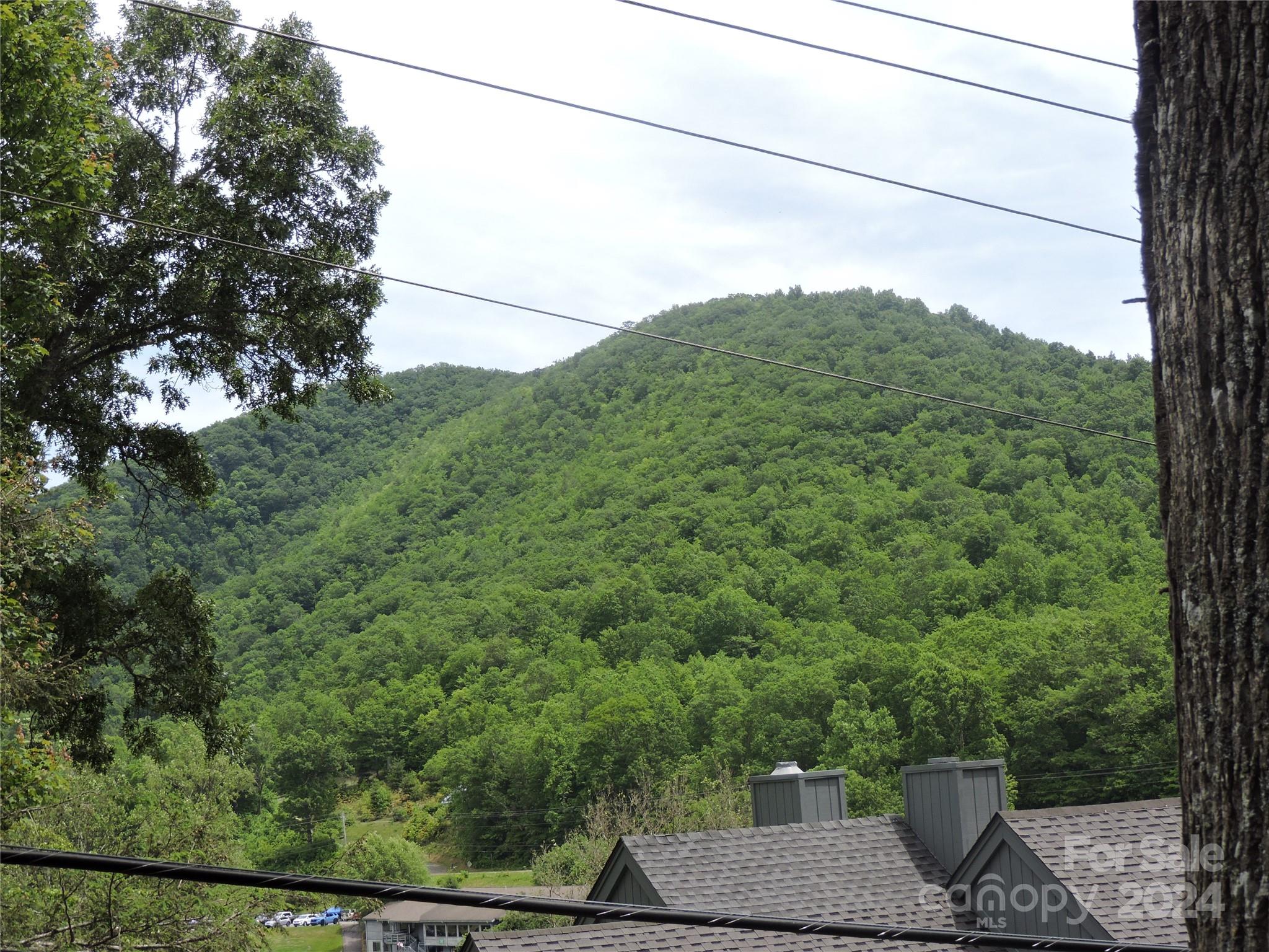 00 South Toe River Road Burnsville NC 28714