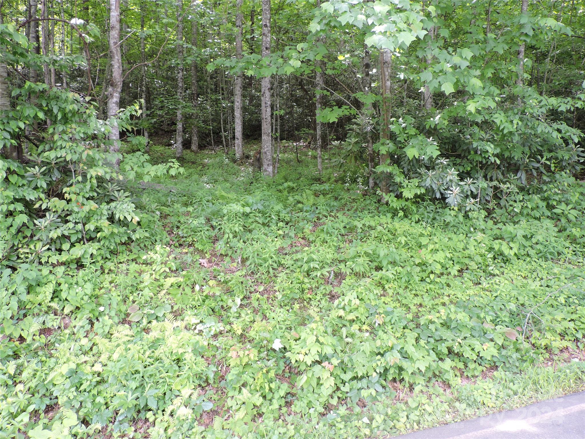 00 South Toe River Road Burnsville NC 28714