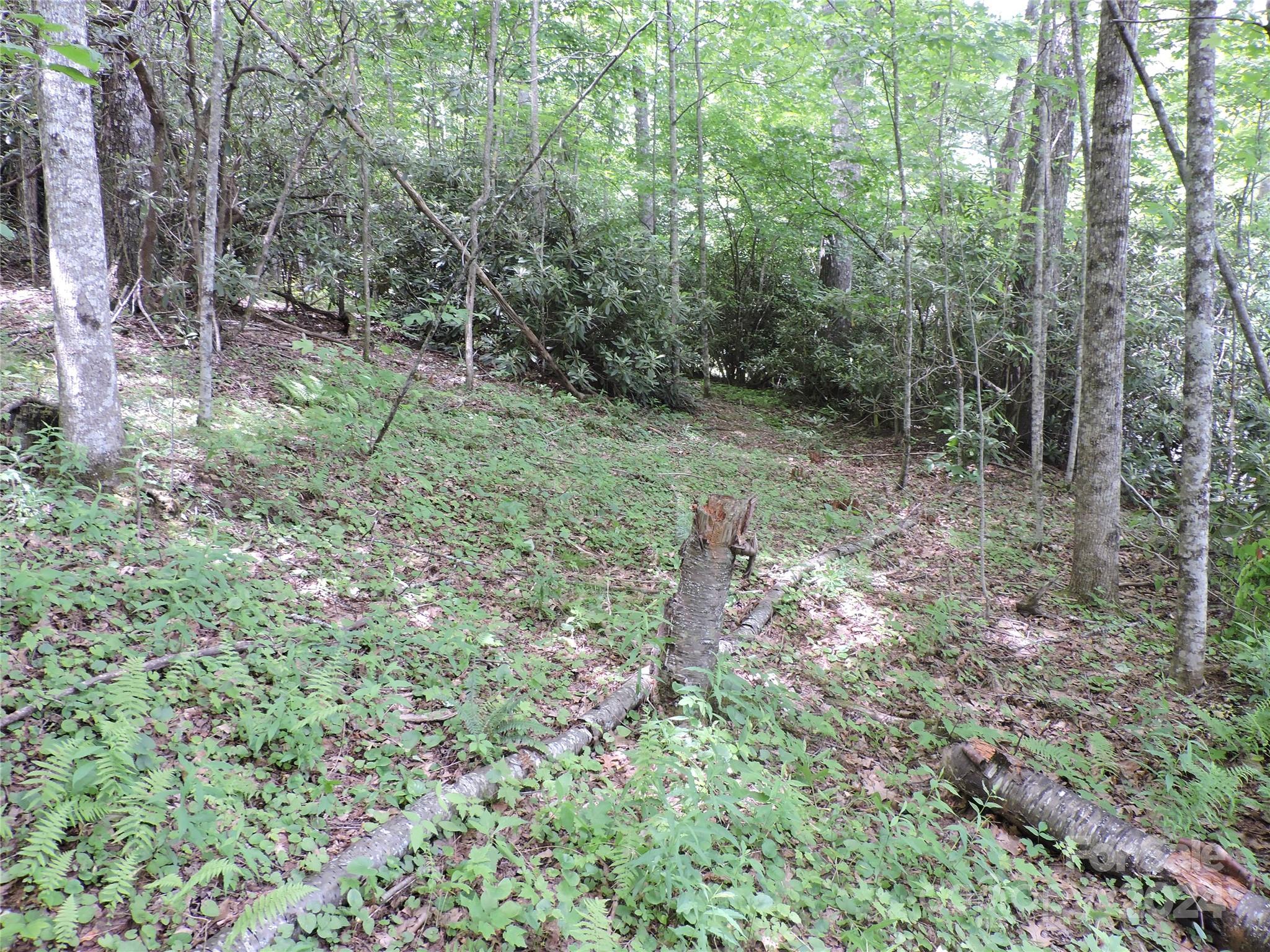 00 South Toe River Road Burnsville NC 28714