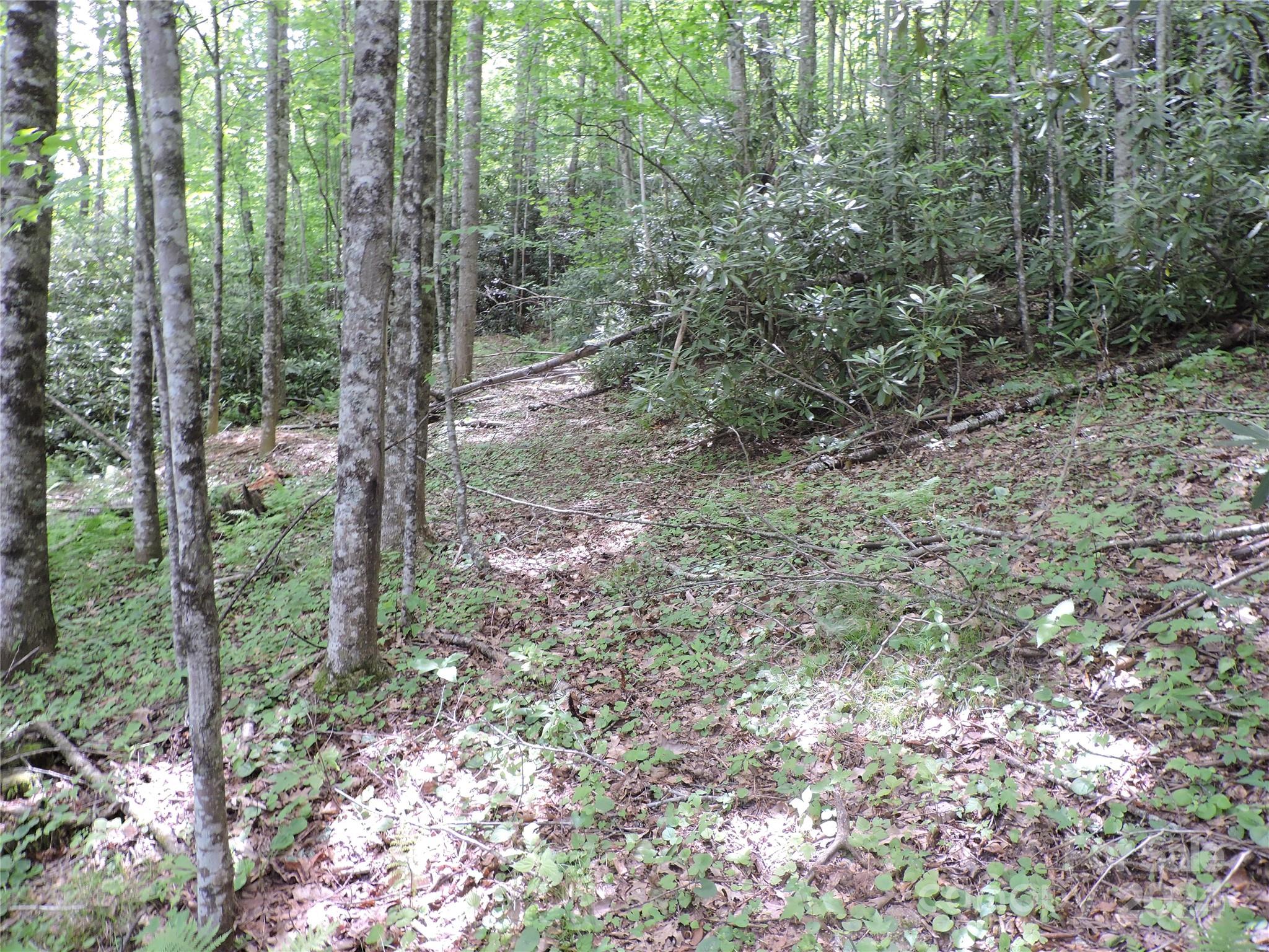 00 South Toe River Road Burnsville NC 28714