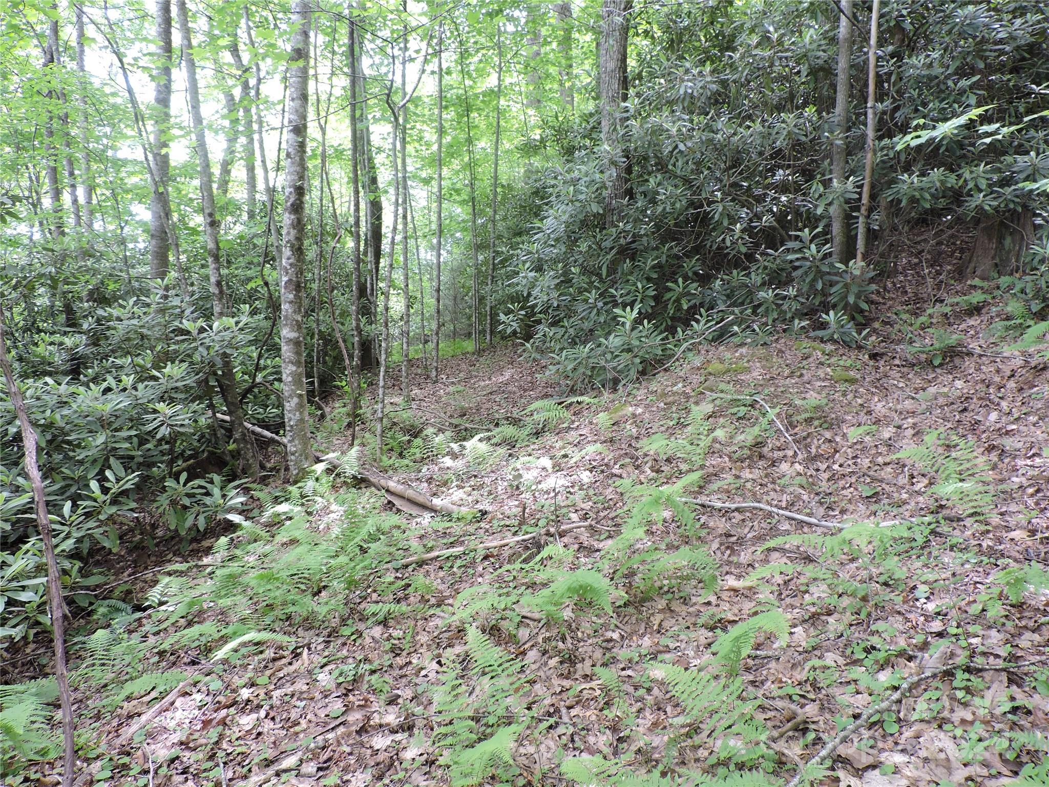 00 South Toe River Road Burnsville NC 28714
