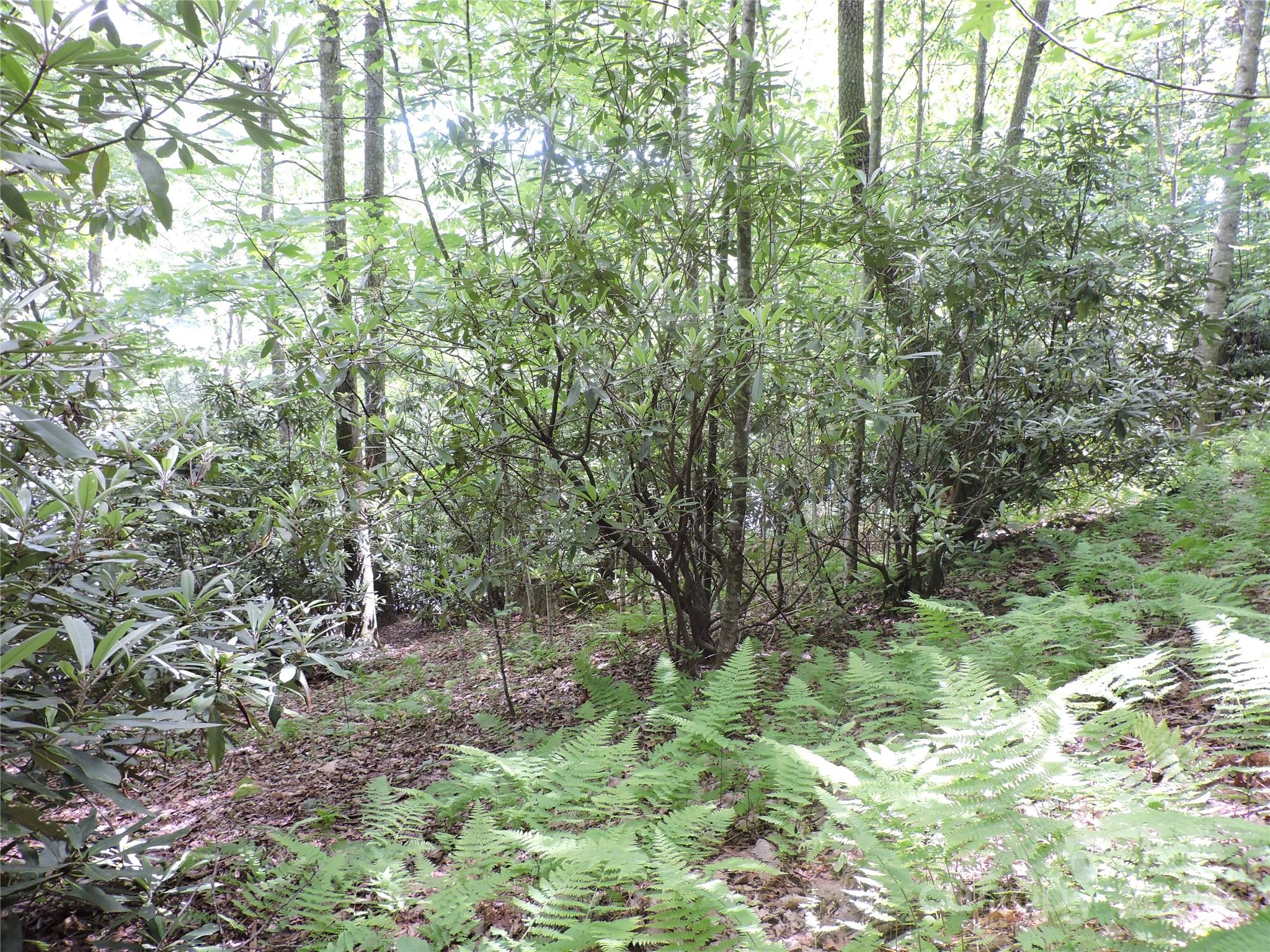 00 South Toe River Road Burnsville NC 28714