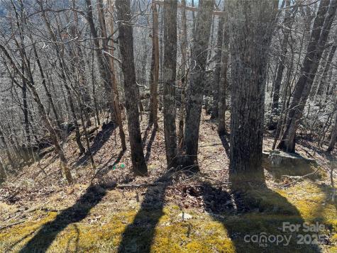 Tbd State View Road Boone NC 28607