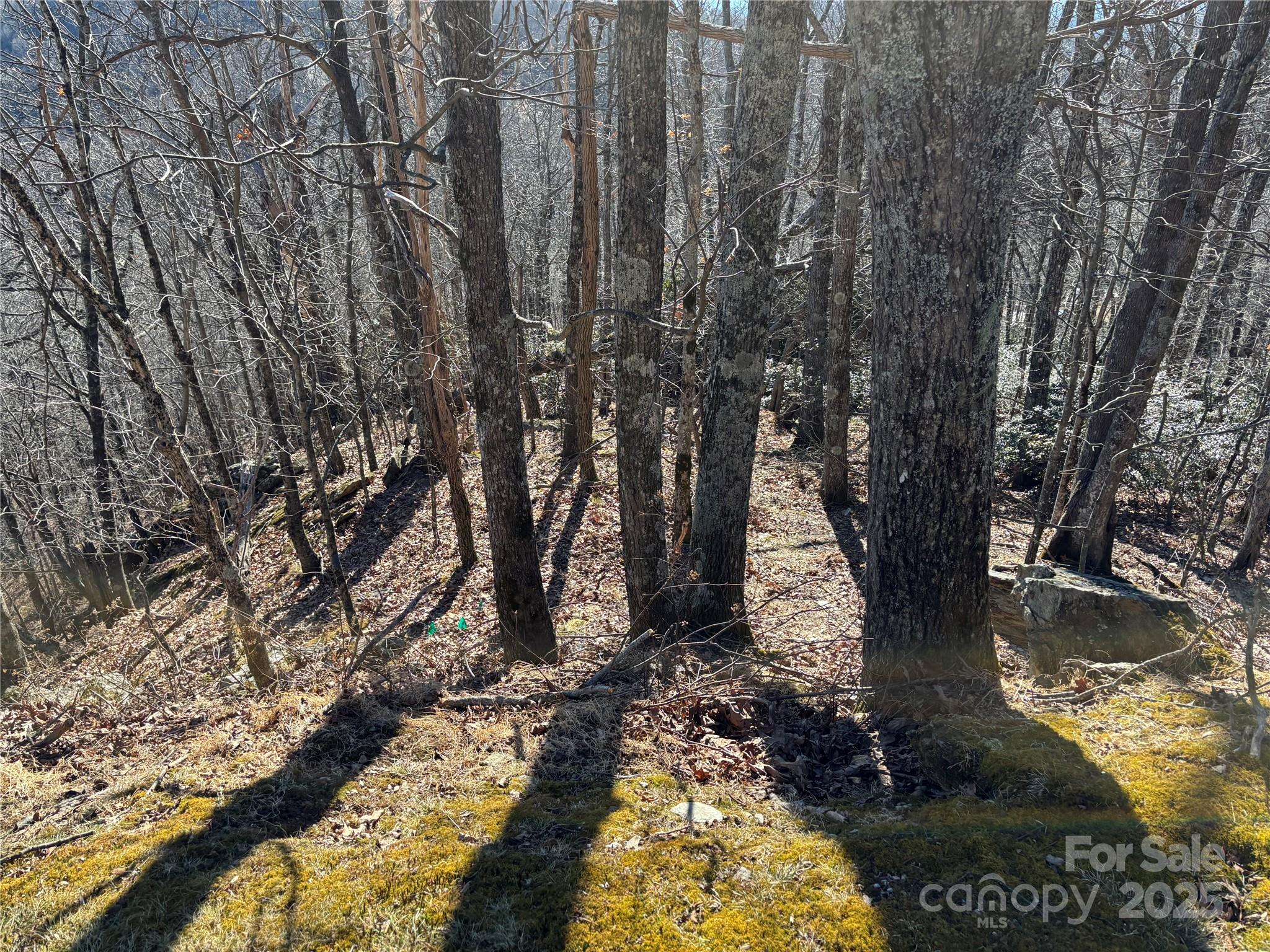 Tbd State View Road Boone NC 28607