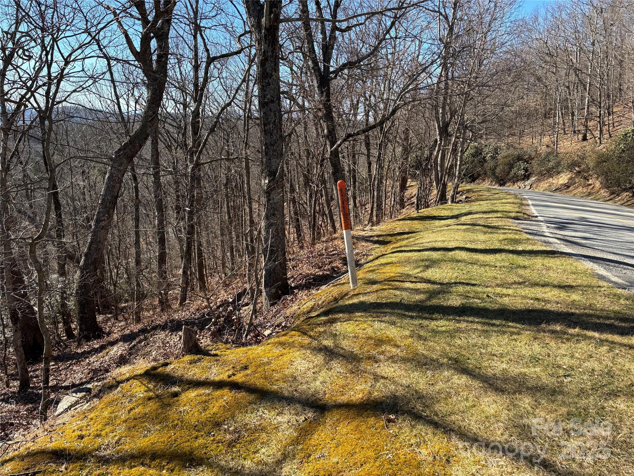 Tbd State View Road Boone NC 28607