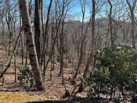 Tbd State View Road Boone NC 28607