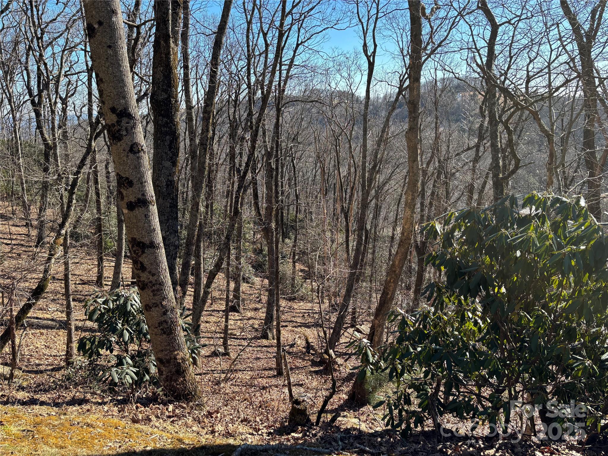Tbd State View Road Boone NC 28607