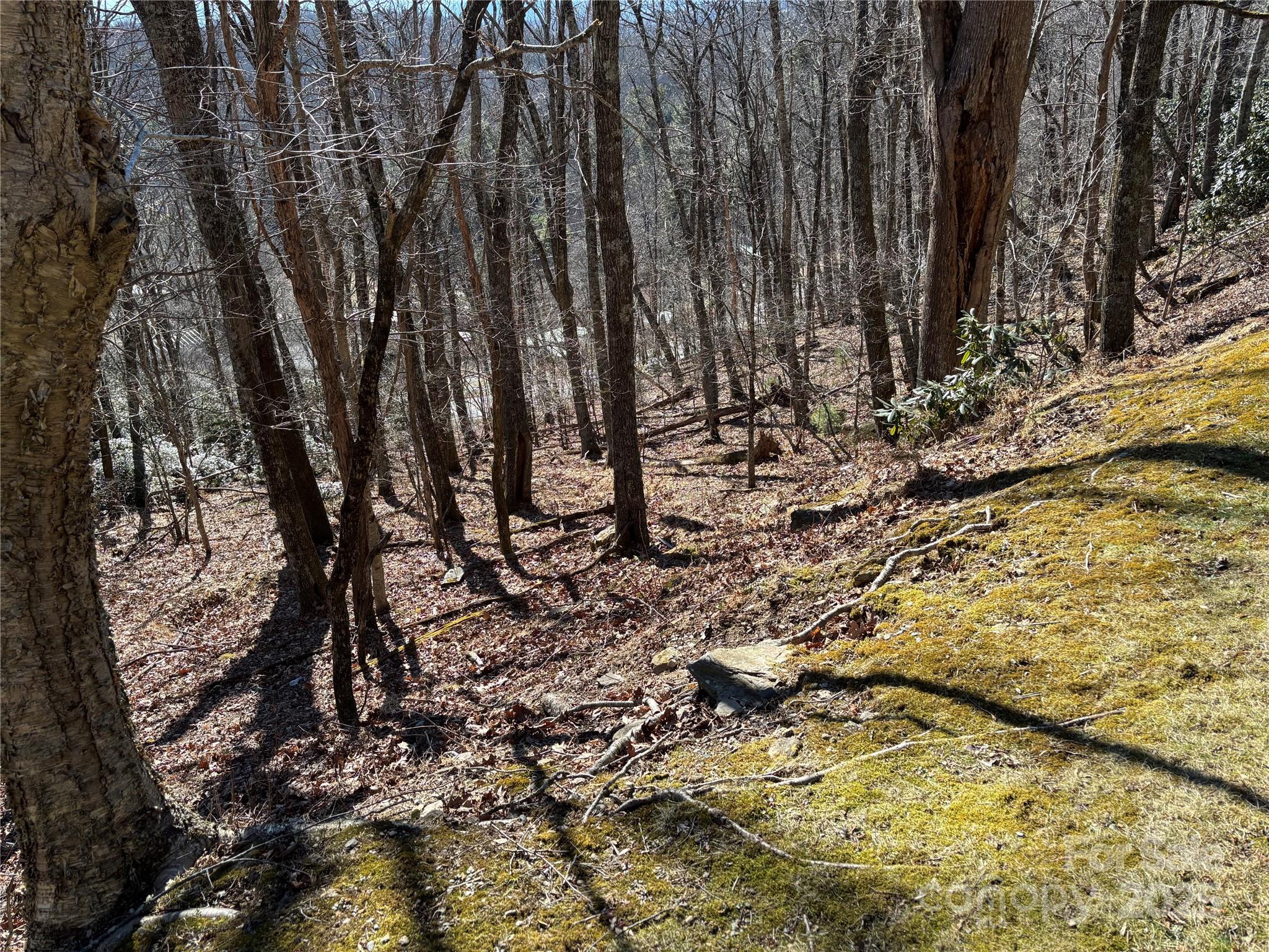 Tbd State View Road Boone NC 28607