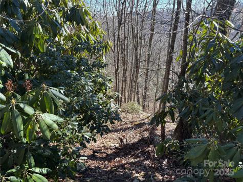 Tbd State View Road Boone NC 28607