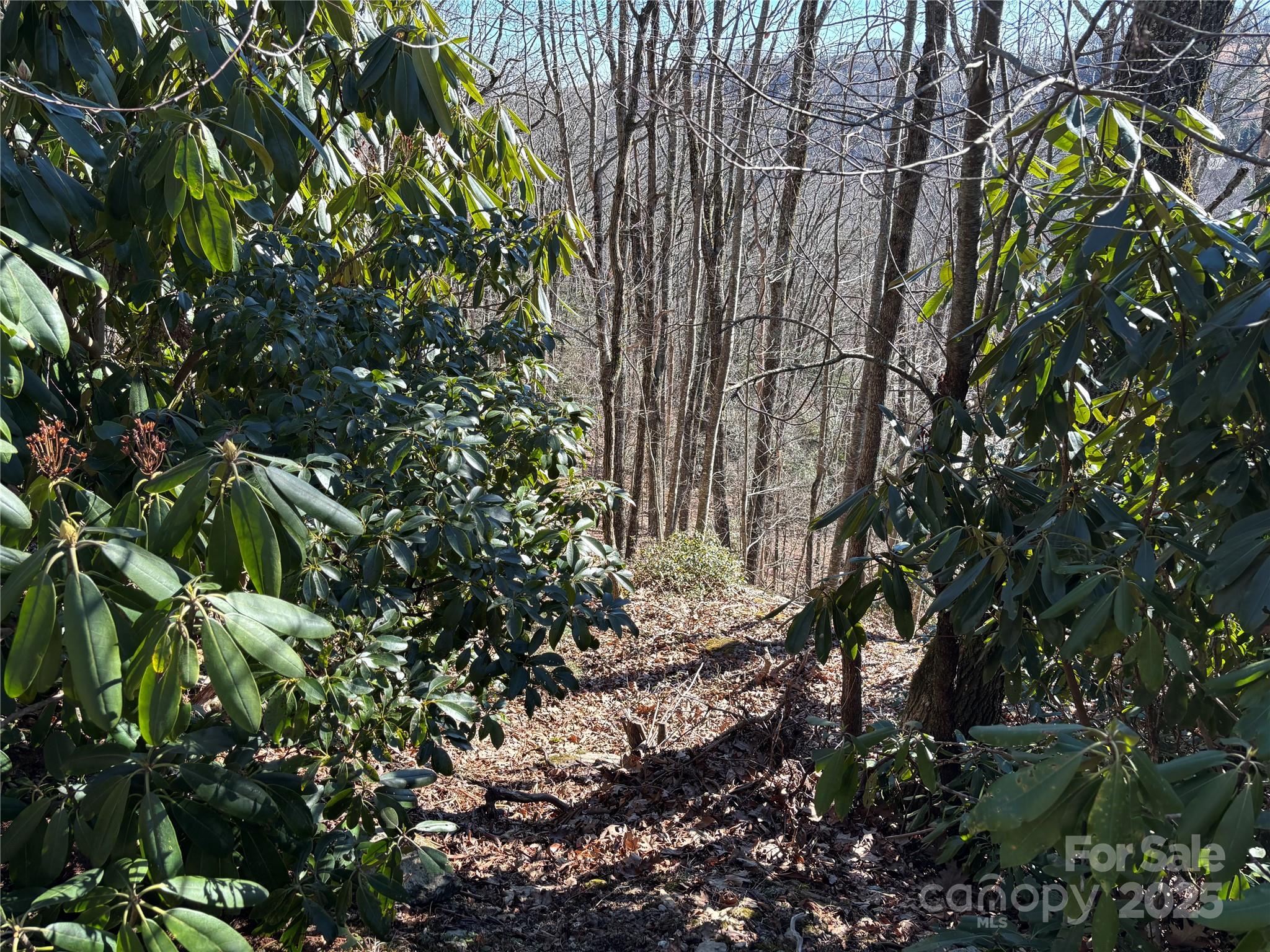 Tbd State View Road Boone NC 28607