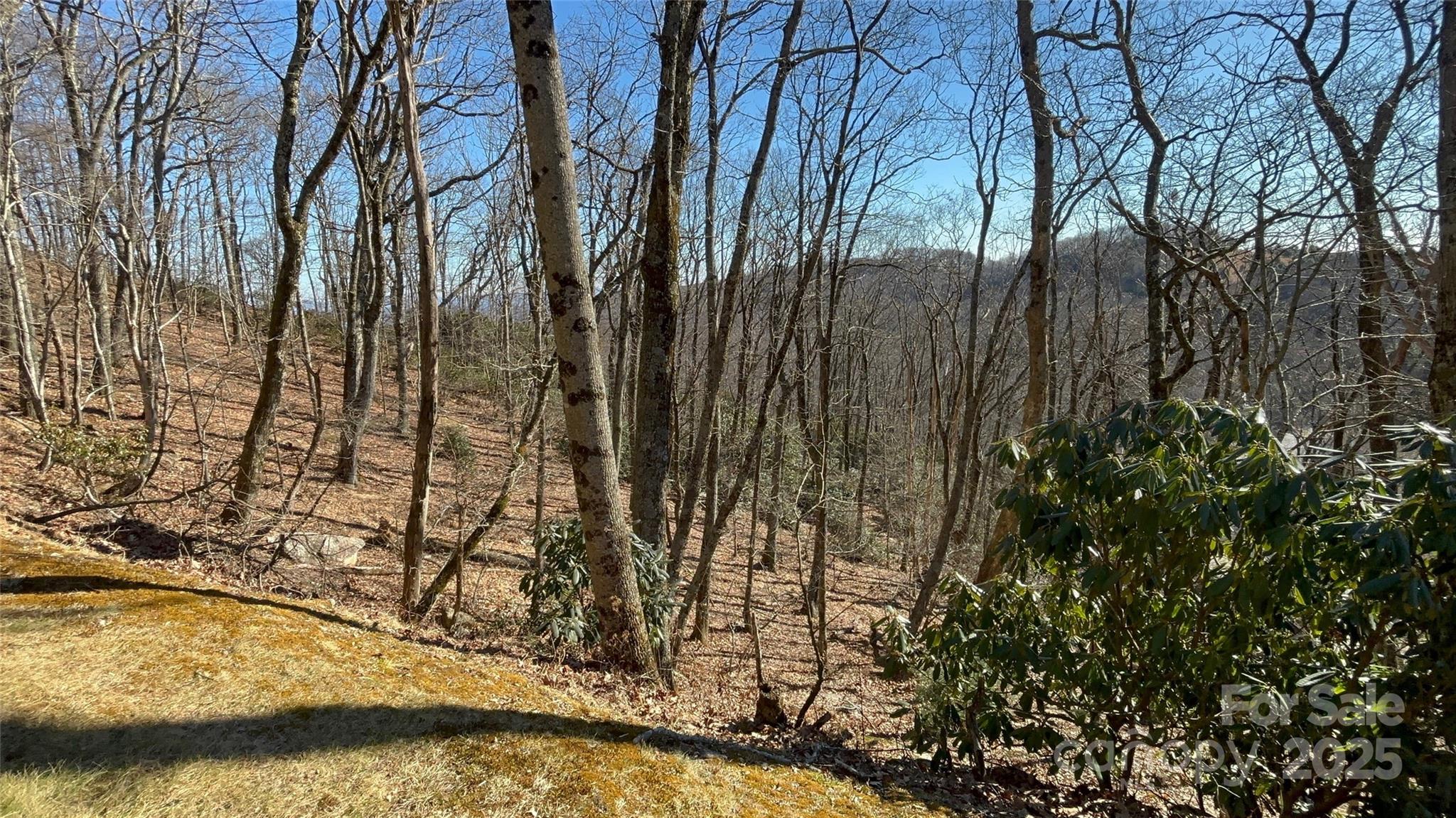 Tbd State View Road Boone NC 28607