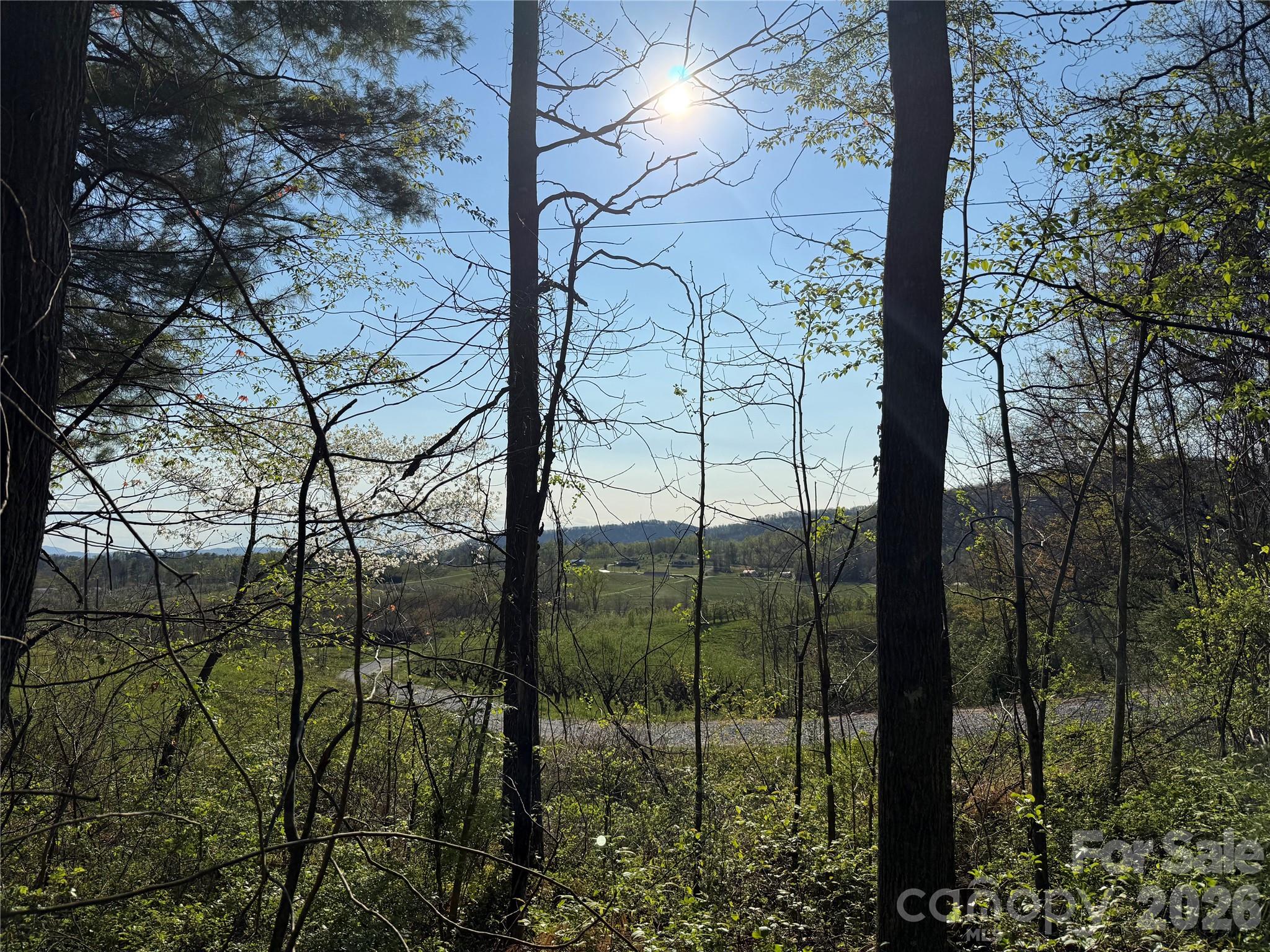 000 Woodlyn Etch Drive Hendersonville NC 28792