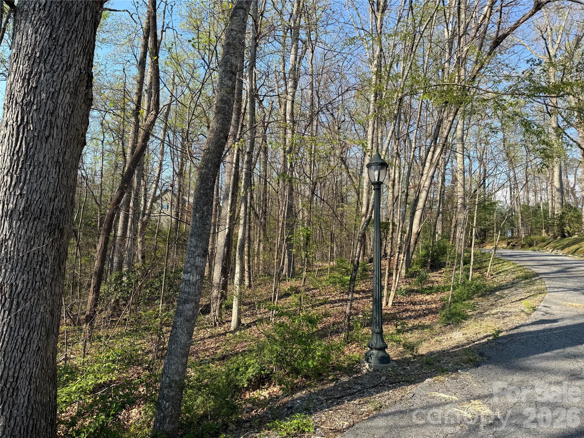000 Woodlyn Etch Drive Hendersonville NC 28792