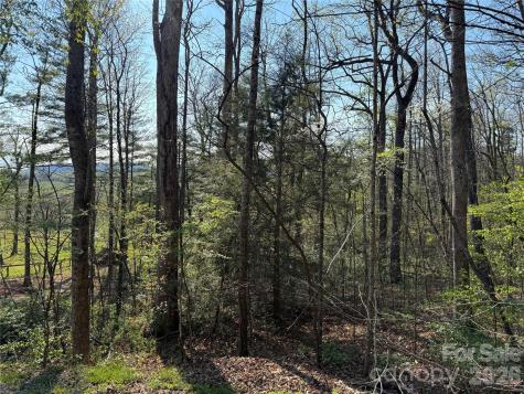 000 Woodlyn Etch Drive Hendersonville NC 28792