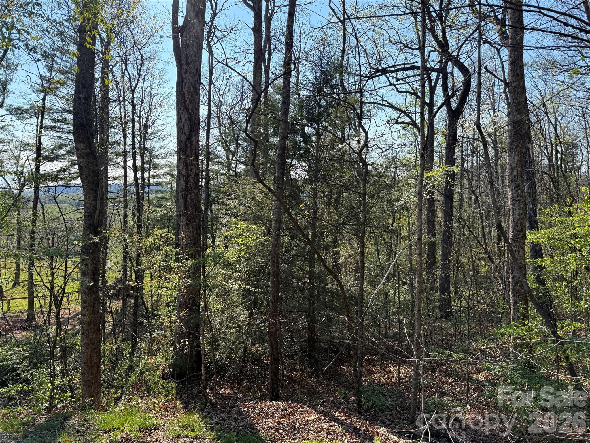 000 Woodlyn Etch Drive Hendersonville NC 28792