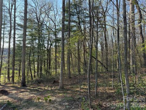 000 Woodlyn Etch Drive Hendersonville NC 28792