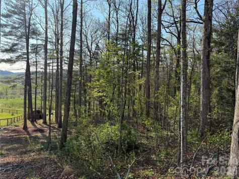000 Woodlyn Etch Drive Hendersonville NC 28792