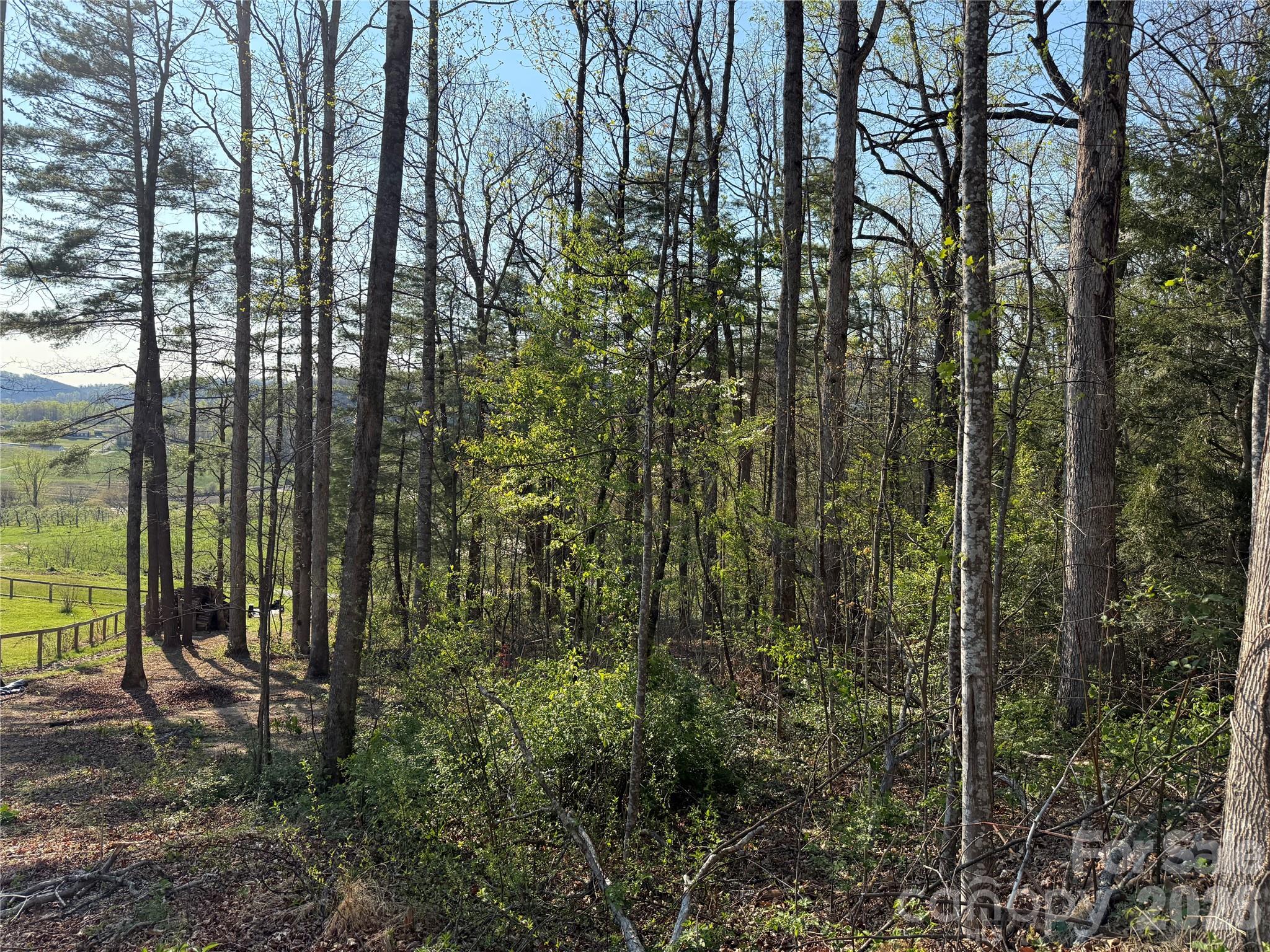 000 Woodlyn Etch Drive Hendersonville NC 28792