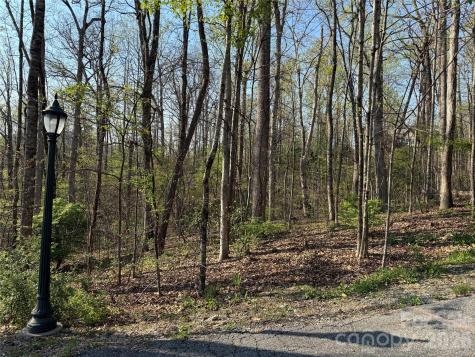000 Woodlyn Etch Drive Hendersonville NC 28792